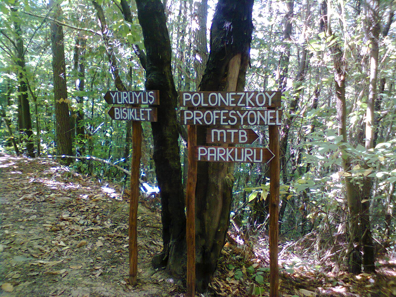 polonezkoy-trekking-yuruyus (2)