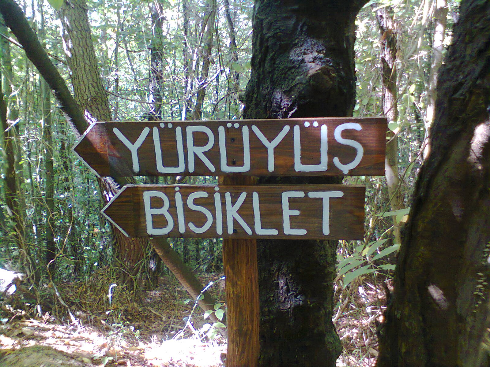 polonezkoy-trekking-yuruyus (4)