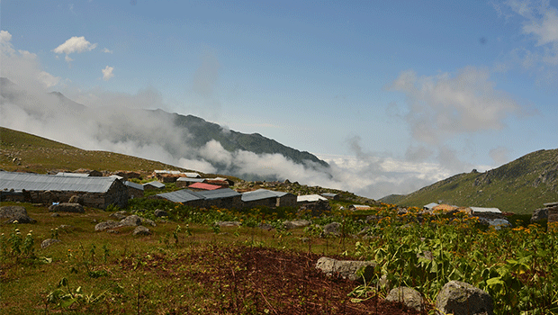 Samistal Yaylası