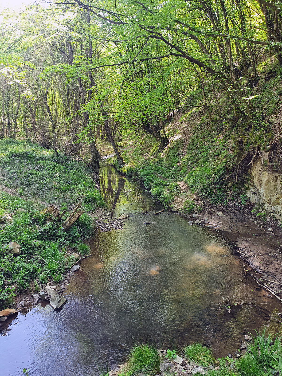 Polonezköy Tabiat Parkı Akarsu